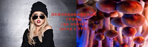 крисы Белоозёрский