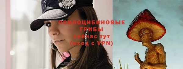 прущие крисы Беломорск