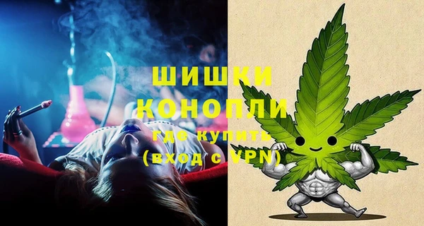 прущие грибы Богородицк