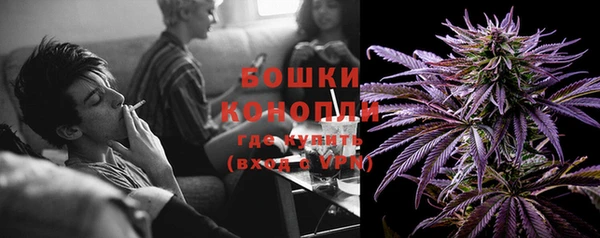 прущие грибы Богородск