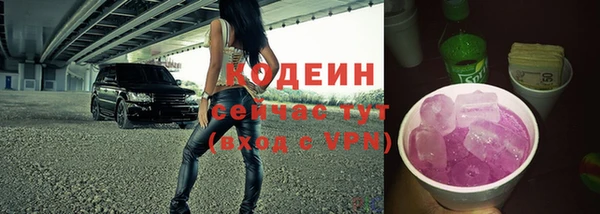 прущие грибы Богородск