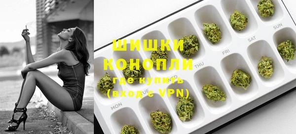 прущие грибы Богородицк