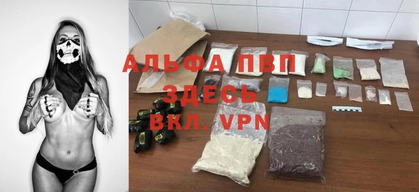 прущие грибы Богородск