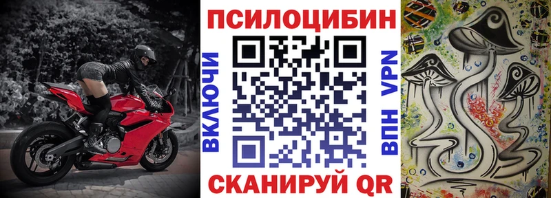 Псилоцибиновые грибы Psilocybine cubensis  купить   Бугульма 